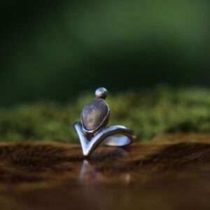 anillos